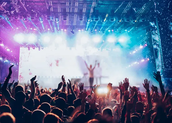 A performer on stage in front of a cheering concert crowd